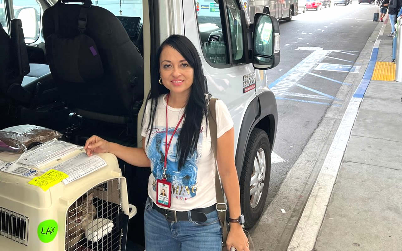 LAX pet transportation services