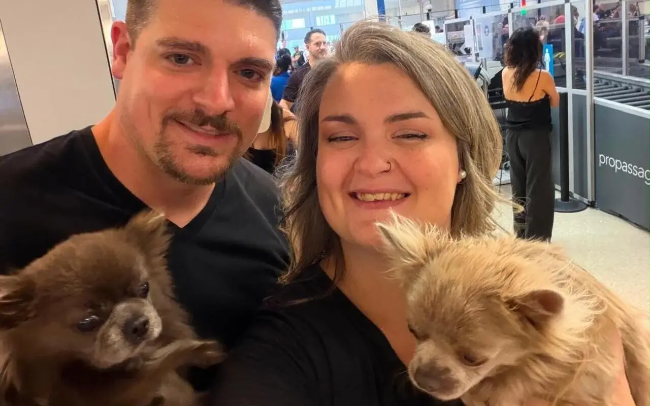pet travel consultation