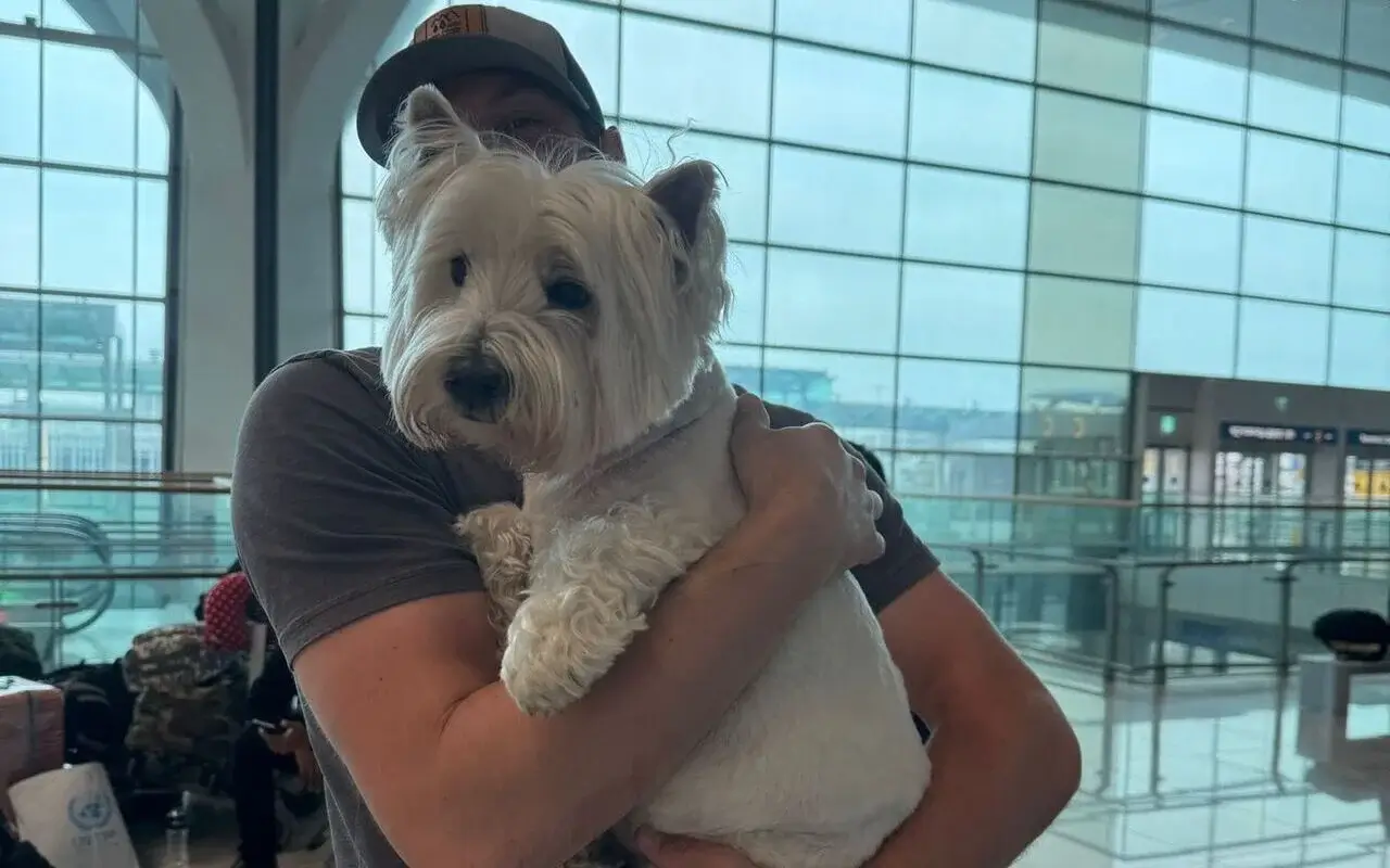 safe pet travel